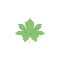 Maple Leaf colored icon. Element of colored autumn icon for mobile concept and web apps. Colored Maple Leaf icon can be used for web and mobile