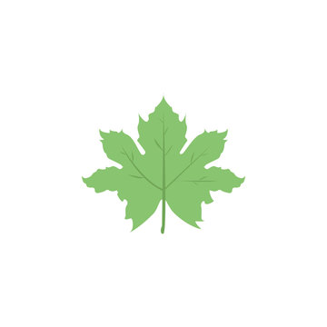 Maple Leaf colored icon. Element of colored autumn icon for mobile concept and web apps. Colored Maple Leaf icon can be used for web and mobile