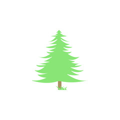 spruce colored icon. Element of colored autumn icon for mobile concept and web apps. Colored spruce icon can be used for web and mobile