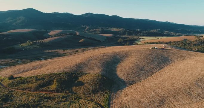 Aerial image of a wheat plantation with working tractor, drone scene