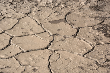 Dry cracked soil