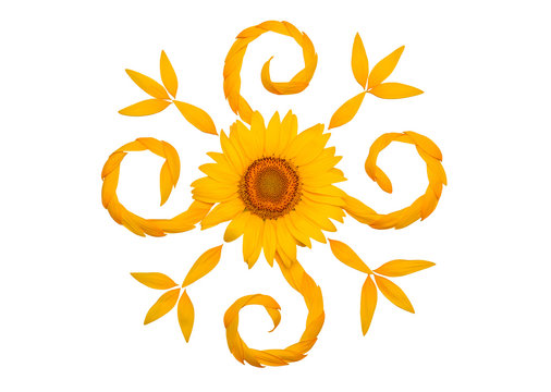 Creative idea flower of a sunflower and petals flying in the wind. Abstraction and wave. Floral pattern. Agricultural topics. Place for text. Flat lay, top view