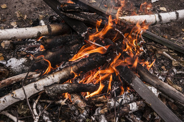 The fire is burning in nature