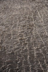 Dinosaurus tracks