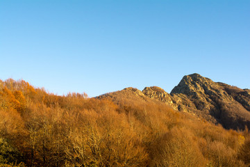 Fall season at the Montseny in Catalonia, Spain.