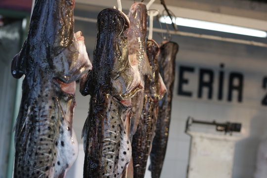 fish in the market