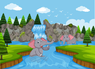 Obraz na płótnie Canvas Elephants playing in water