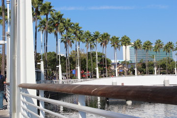 カリフォルニア