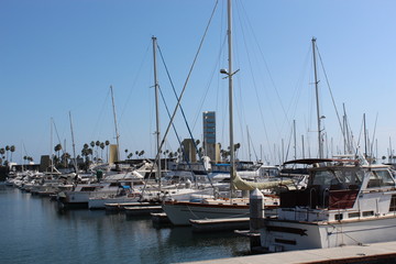 Fototapeta premium カリフォルニア