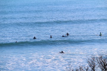 Fototapeta premium Seven Surfers at Shelly Beach, Phillip Island, Australia