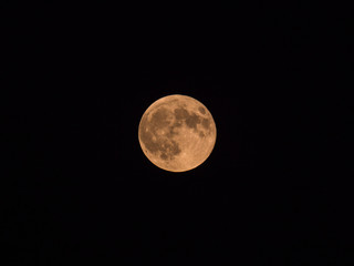 Beautiful close up photograph of a full micro moon with a yellow hue in a dark black night sky.