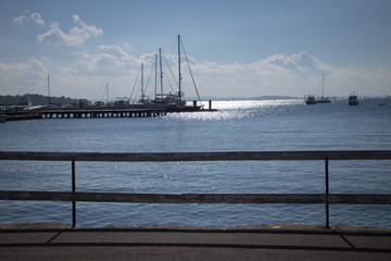 Fototapeta premium view of sailboats and pier from land