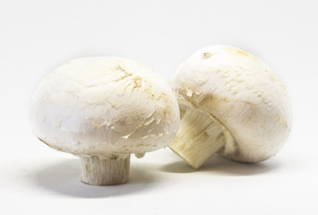 Fototapeta na wymiar Two mushroom on isolated white background