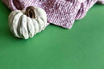 White Pumpkin For Autumn Holiday On Green Background