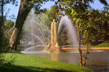 Photo of a beautiful macro fountain VDNH Moscow