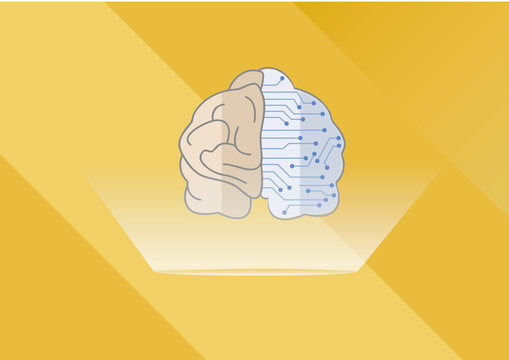 Computer illustration of the brain