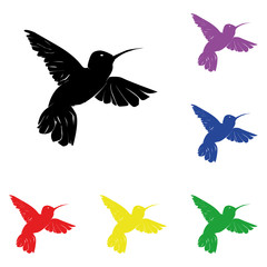 Elements of colibri humming-bird in multi colored icons. Premium quality graphic design icon. Simple icon for websites, web design, mobile app, info graphics