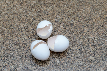 Egg shell