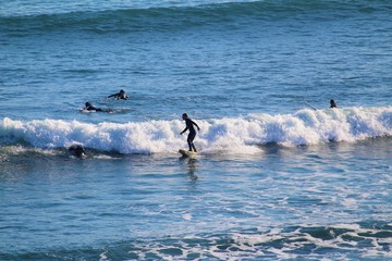 Fototapeta premium Five Surfers catching waves at Shelly Beach, Phillip Island, Australia