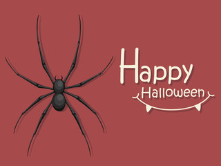 Happy Halloween. Spider cartoon icon. Gift and decorative element on holiday. Vector Illustration.