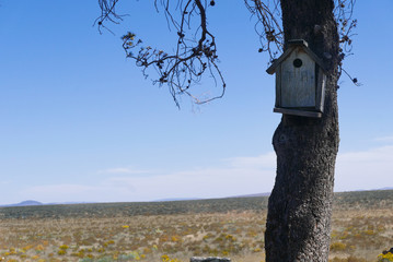 Charming birdhouse on a tree in the old west on a sunny day