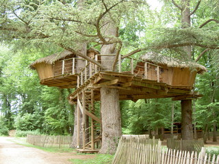 Cabane