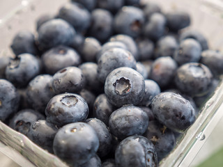 A closeup of a pile of fresh picked blueberries.