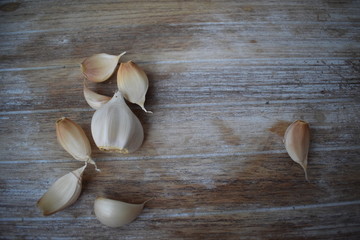 Uncleaned garlic heads with roots and stems on a wooden painted light background. Copy space.