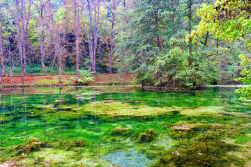 Obraz na płótnie Canvas Beautiful forest landscape . Bosnia and Herzegovina, public park Vrelo Bosne, near Sarajevo, river Bosna 