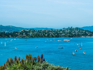 Boats and sailboats line up on the calm  blue waters to receive blessing on opening day of yachting season near Belvedere Tiburon in California. - obrazy, fototapety, plakaty