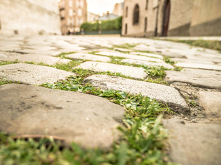 Green grass growing up between old stone pavers in Paris France near Montmartre neighborhood with view looking down the street