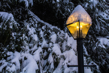 Snowy Lamp Post