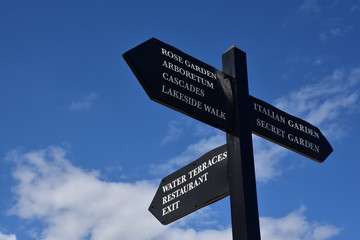 Fototapeta premium Blue sky and white clouds with direction signs