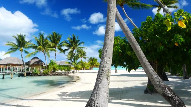 Luxury overwater villas with coconut palm trees, blue lagoon, white sandy beach and Otemanu mountain at Bora Bora island, Tahiti, French Polynesia

