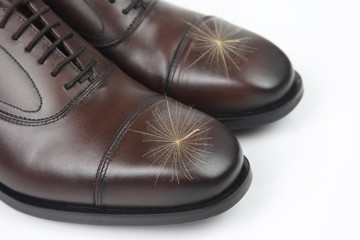 Classic men's brown Oxford shoes on white background. Leather shoes