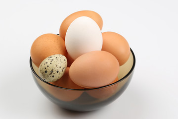 chicken eggs lie in plate on white background
