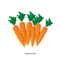 Carrot Vector Equipment
