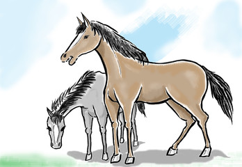 大自然の中で、悠然と生きる野生化した小型の馬を描きました。