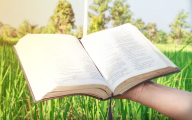 Woman hand holding bible in field