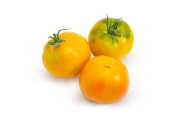 Yellow tomatoes on a white background