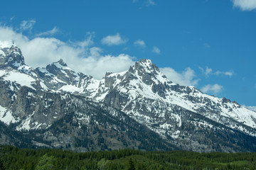 Obraz premium the grand tetons vista view
