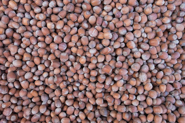 Hazelnuts texture background.