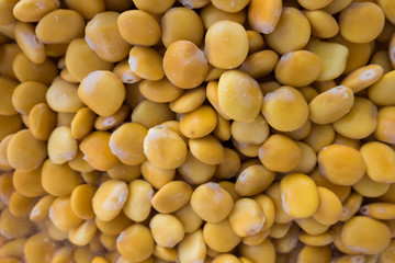 Lupin bean texture background.