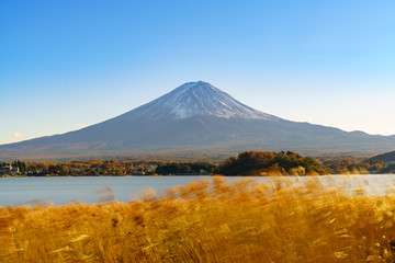 Mount Fuji from lake Kawaguchi, Fujikawaguchiko, Yamanashi, Japan.