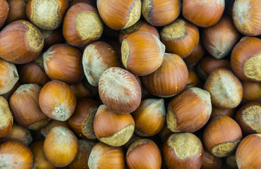 hazelnut whole hazelnut shell pattern dessert base baking pies set of fruit close-up, snack fast food source protein snack diet