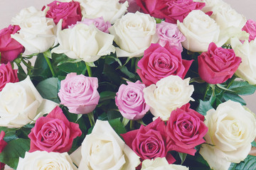 A large bouquet of red, pink and white roses close-up. Background of roses. Congratulations on the holiday. Love and tenderness.