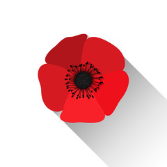 Obraz premium Czerwony kwiat maku