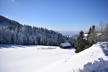 Wintertraum