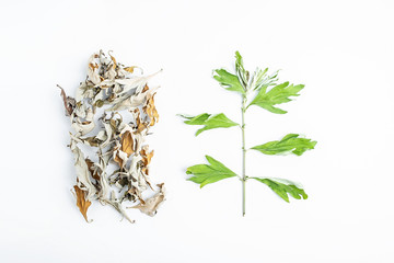 Chinese herbal medicine fresh leaves and sun-dried leaves