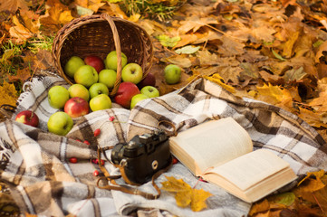 Autumn in the park. Background